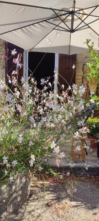 Holiday home Mas Du Vieux Moulin Serignan-du-Comtat