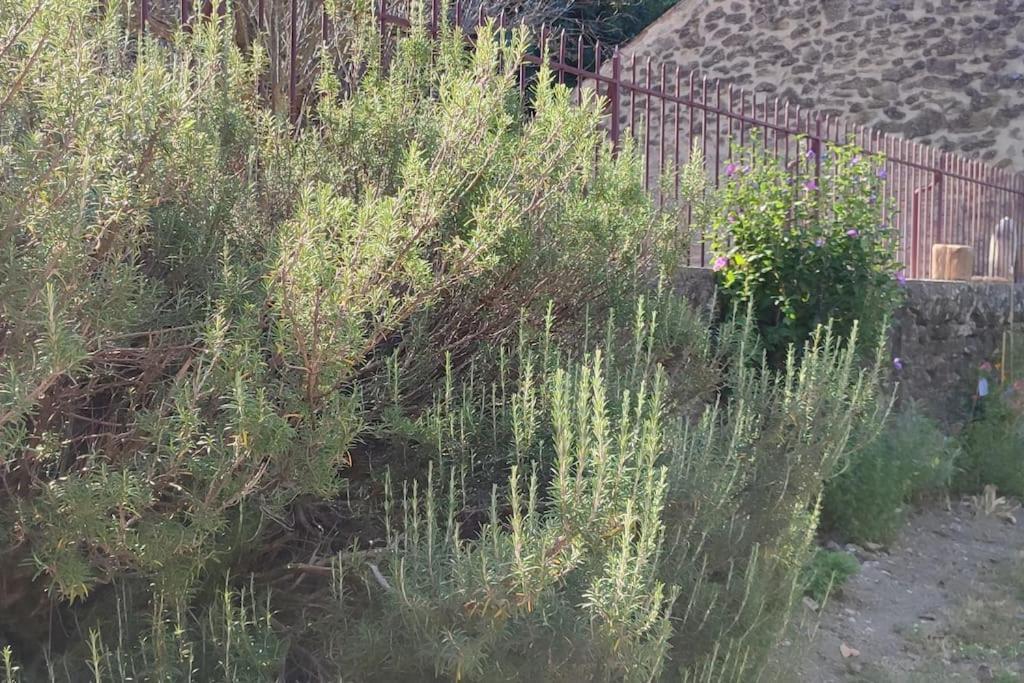 Holiday home Mas Du Vieux Moulin *