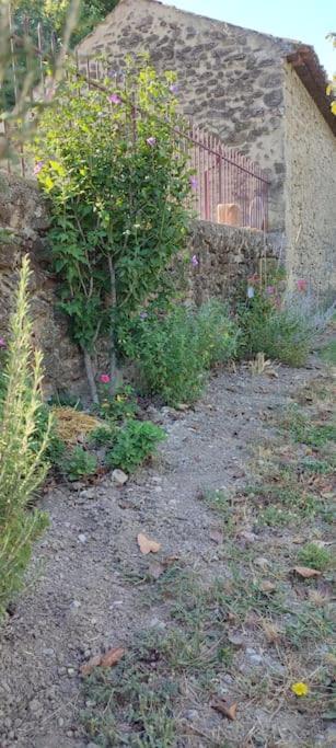 Holiday home Mas Du Vieux Moulin Serignan-du-Comtat